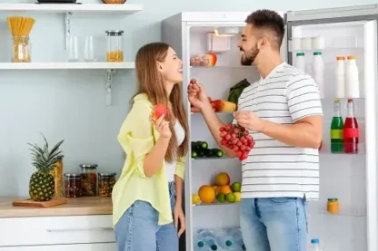 Refrigerator Repair